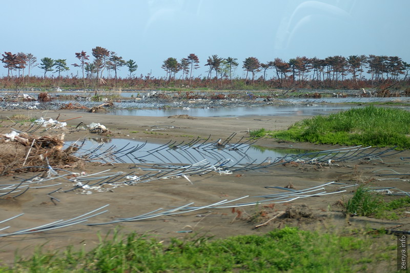 Damaged greenhouses