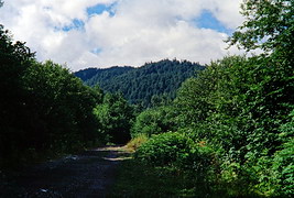 Дорога на Грачевский перевал