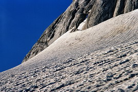 Серны на Фиштинском леднике