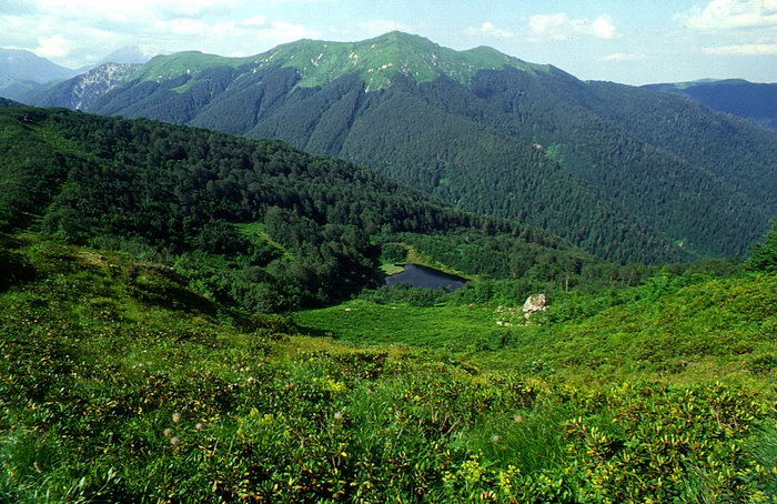 Горное озеро и гора Пшихашка