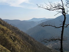 Вид на гору Большое Псеушхо