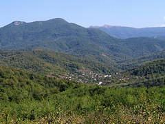Вид на посёлок Большое Псеушхо