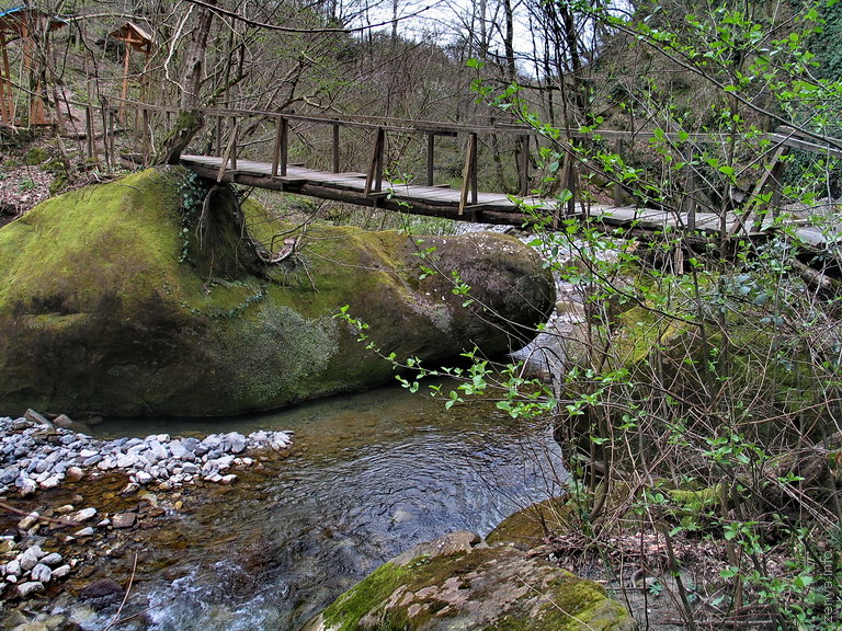 Деревянный мост через ручей
