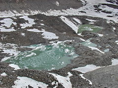 The tongue of Bashkara glacier 1