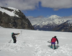 Snow pit on Djankuat glacier 1