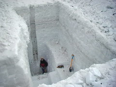 Snow pit on Djankuat glacier 3