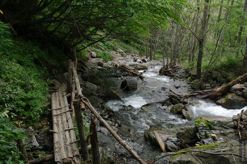 大樺沢の木道