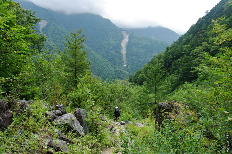 広河原付近の大樺沢