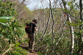前山の東斜面をトラバースする