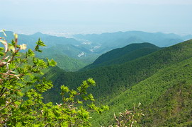 雁戸山付近から眺める山形市街地