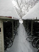 Велосипедная стоянка зимой