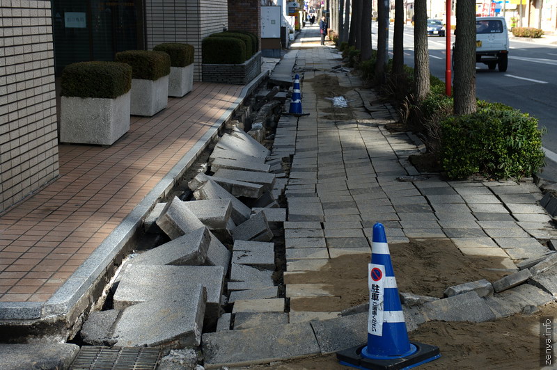 被害を受けた歩道