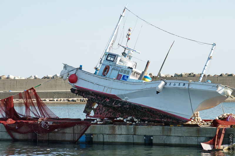 Boat with shellfish