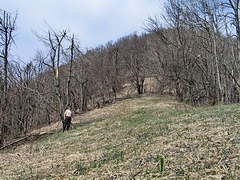 Полянка перед вершиной