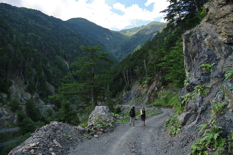 治山運搬路と仙丈ケ岳