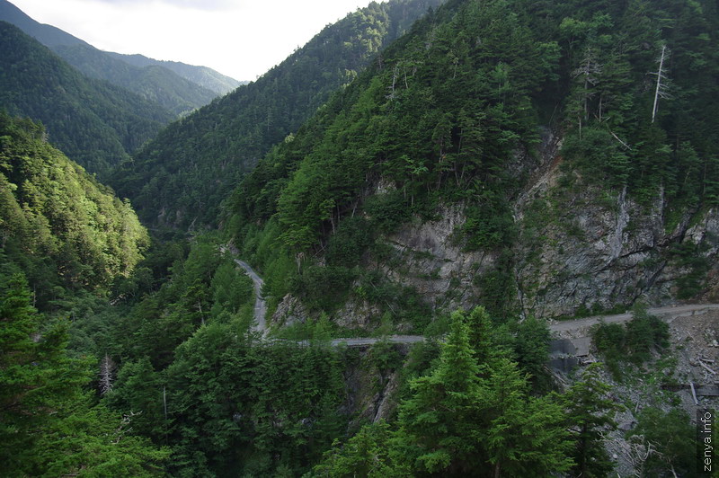 大仙丈沢付近の治山運搬路