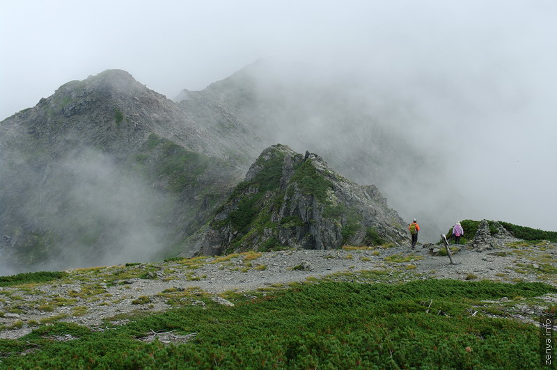 中白根山付近の登山道