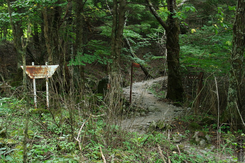 広河原山荘付近の登山口