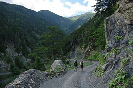 治山運搬路と仙丈ケ岳