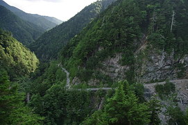 大仙丈沢付近の治山運搬路