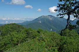 三峰岳付近からの仙丈ケ岳