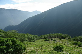 右俣コースの草地