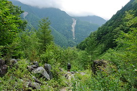 広河原付近の大樺沢