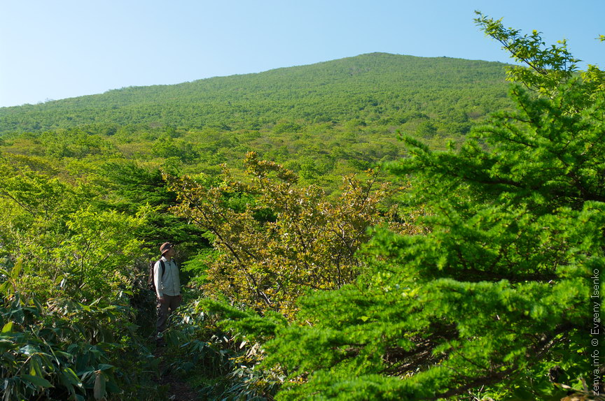 山形側コースと前山