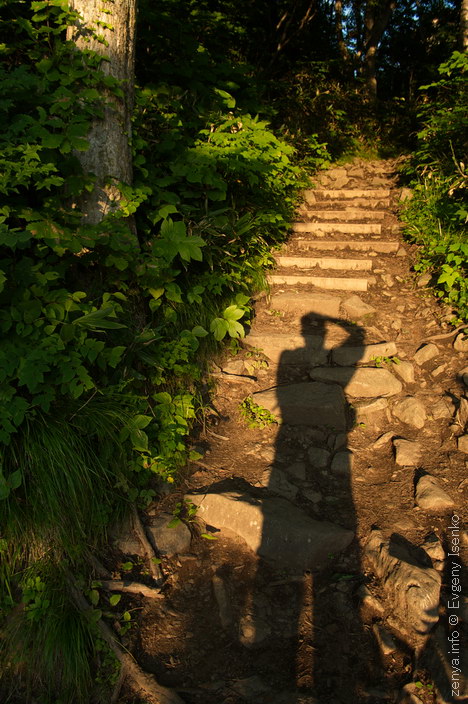 藻岩山山頂手前の階段