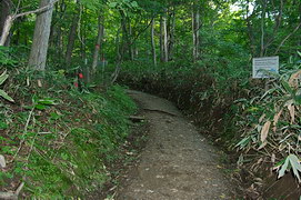 慈啓会登山口付近の道