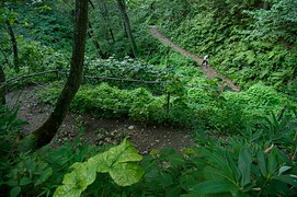 蛇行する登山道