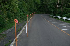 道路を歩く