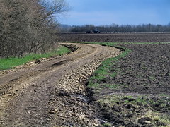 Spring planting in the countryside