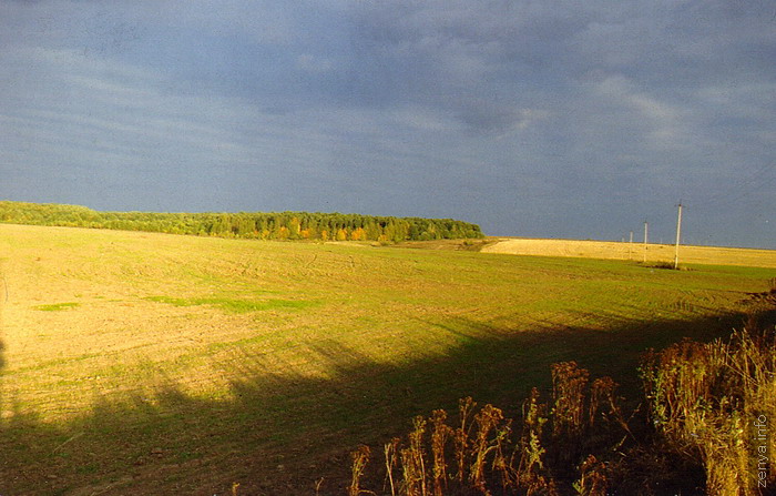 Осень за городом