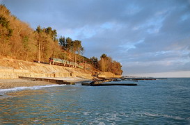 Черноморское побережье зимой (Хоста)