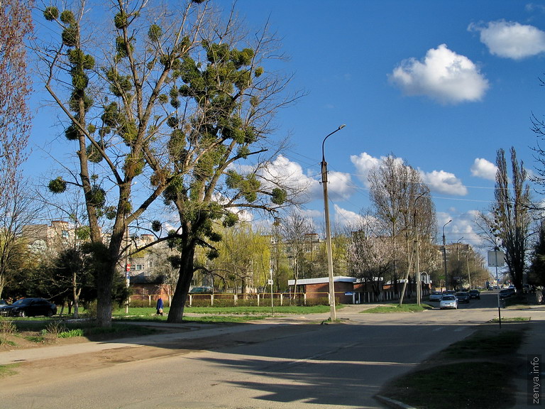 Улицы Белореченска