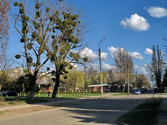 Belorechensk streets